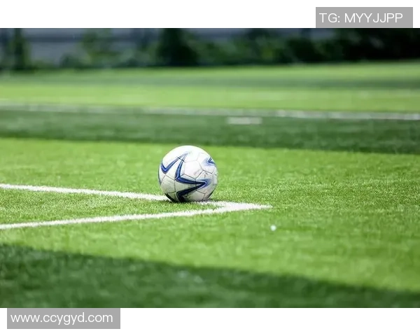 足球星之神：崛起于绿茵场的传奇人物与不朽荣耀之路